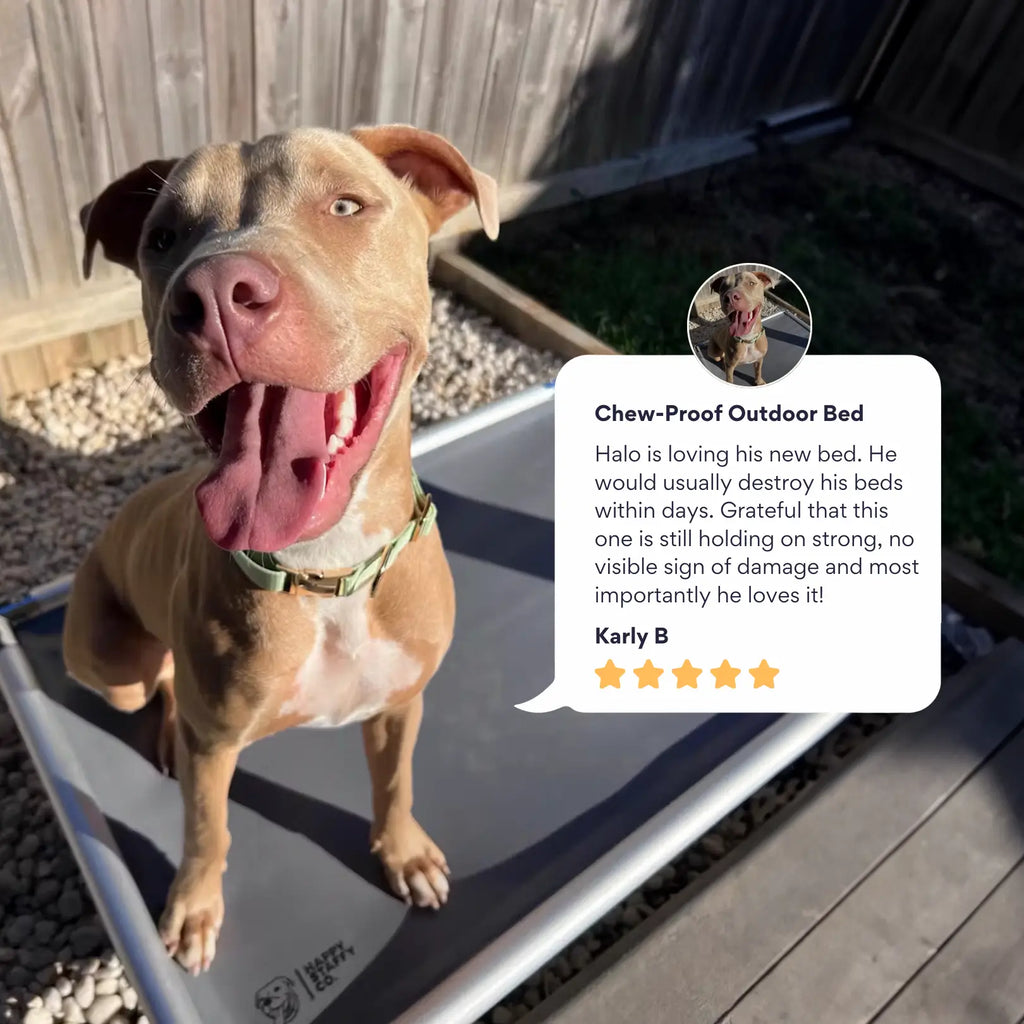 Chew-Proof Outdoor Dog Bed