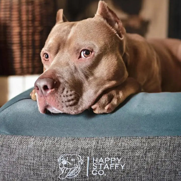 Deluxe Orthopedic Memory Foam Bed