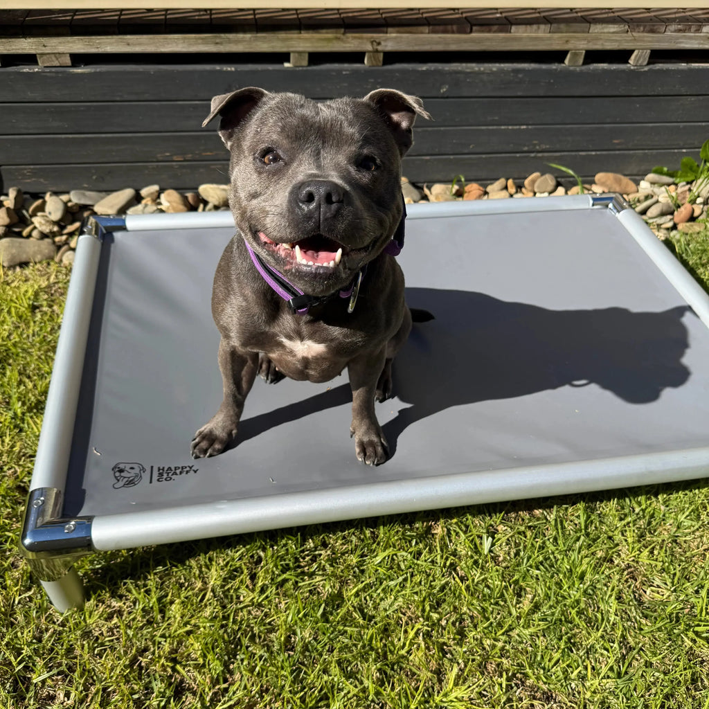 Chew-Proof Outdoor Dog Bed
