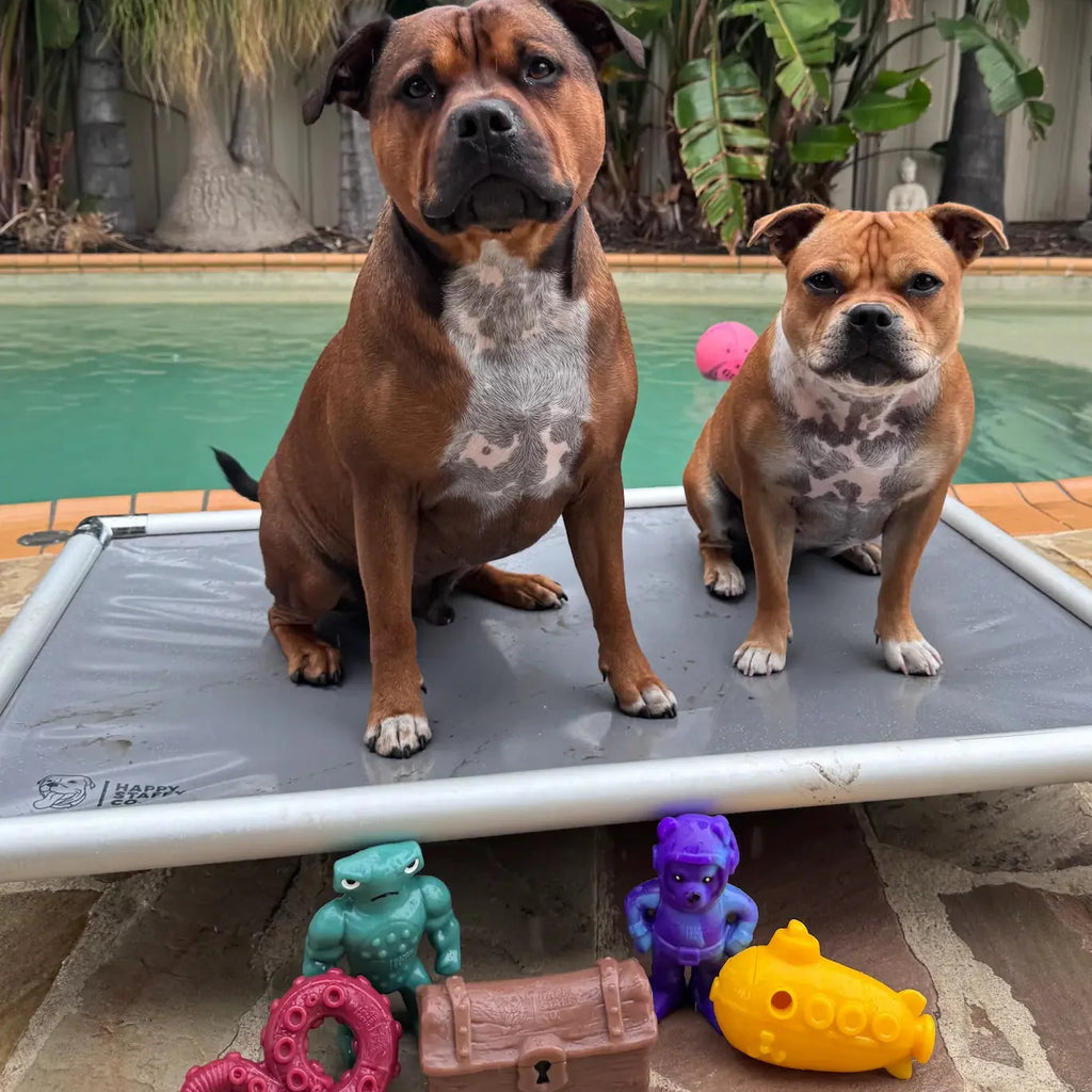 Chewzilla® Deep Sea Mission