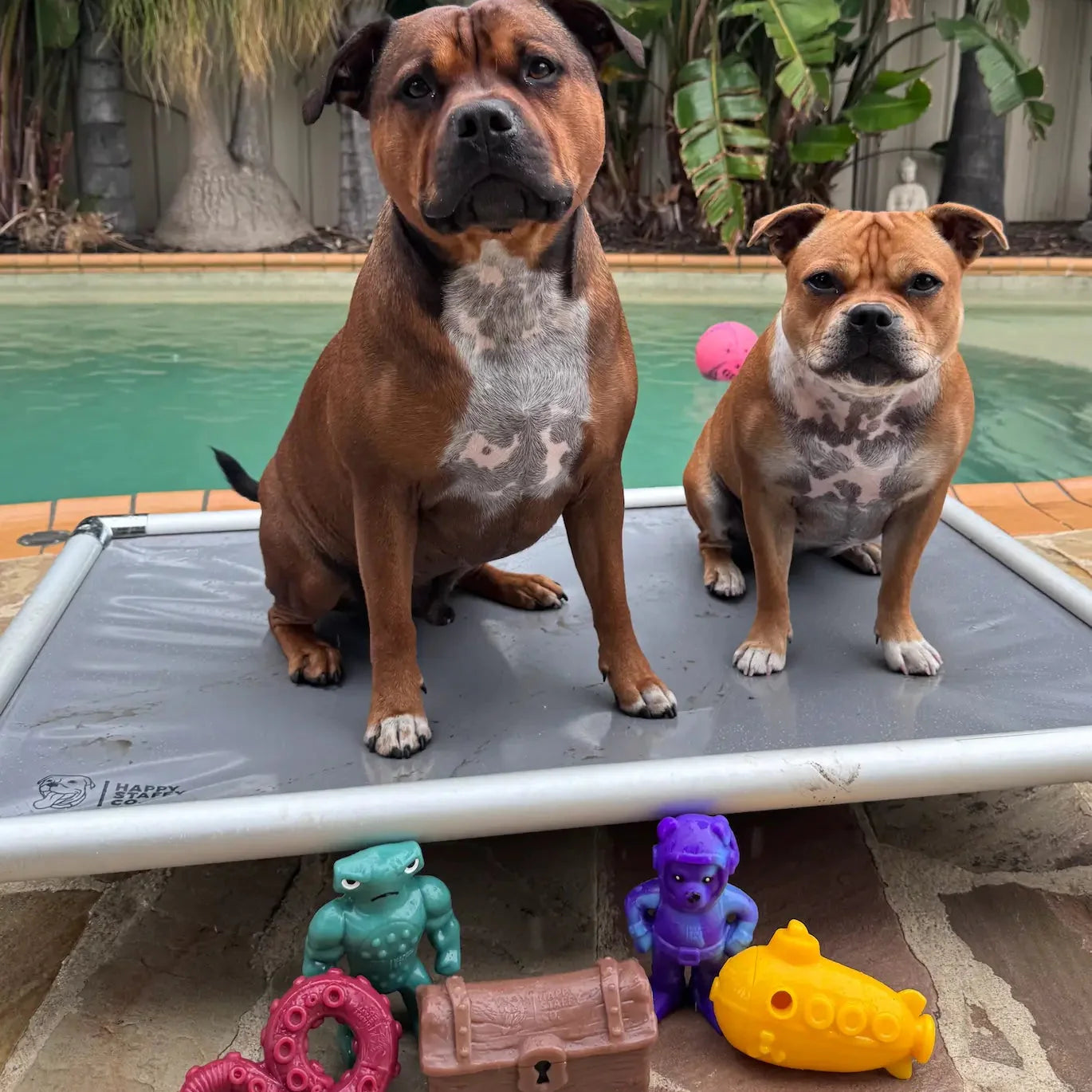 Chewzilla® Deep Sea Mission