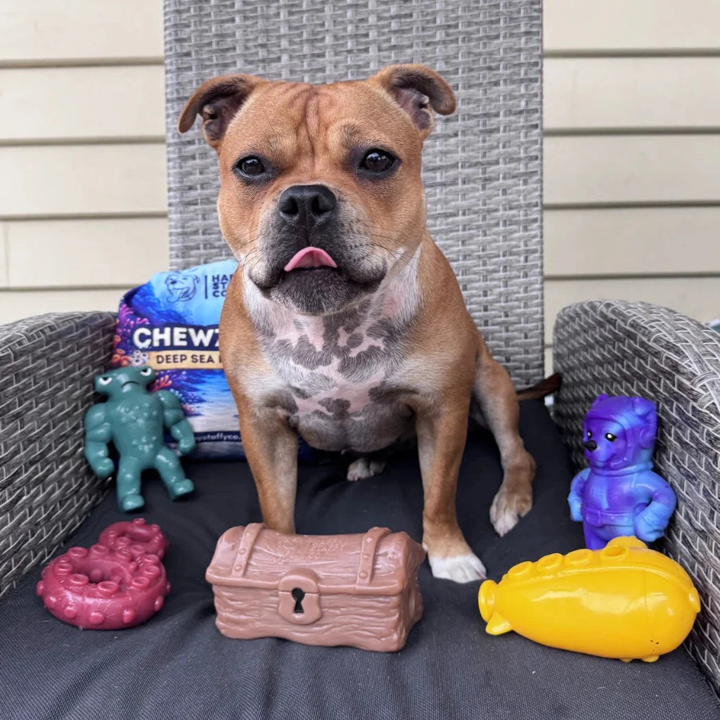 Chewzilla® Deep Sea Mission
