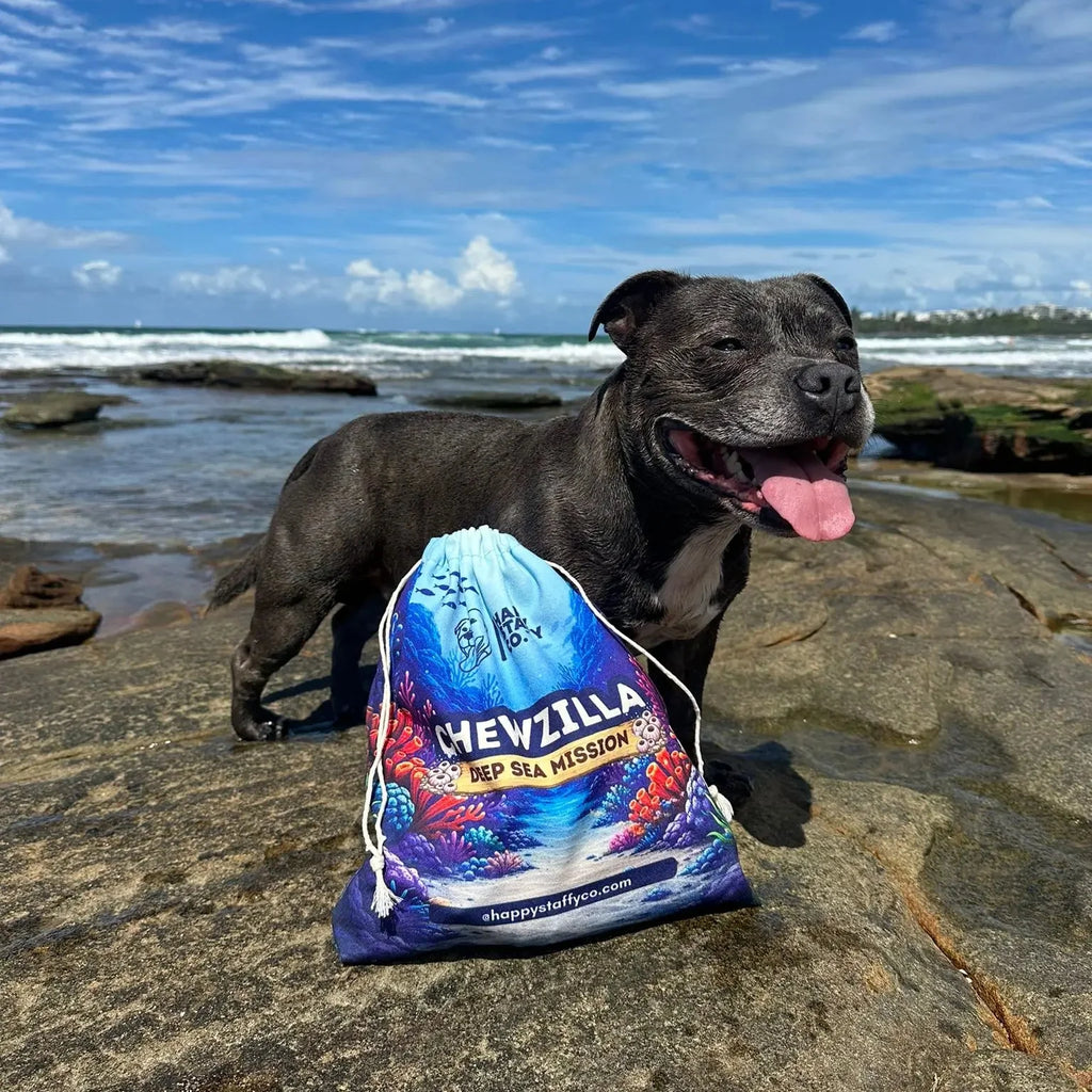 Chewzilla® Deep Sea Mission
